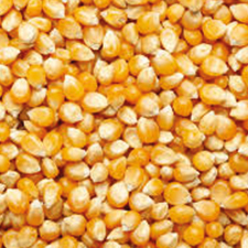 Alimentación natural
