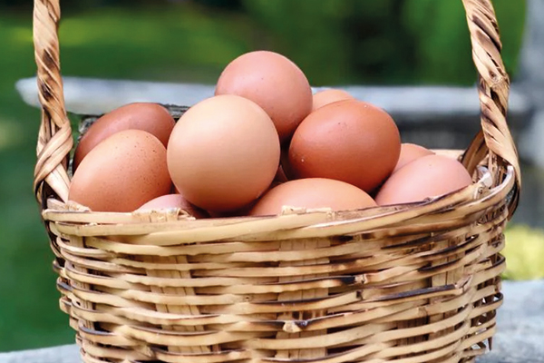 Huevos de Pastoreo